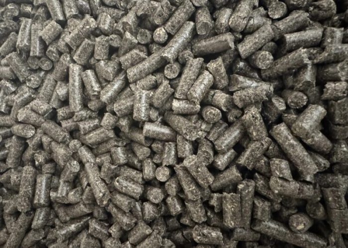 грибной грунт 3